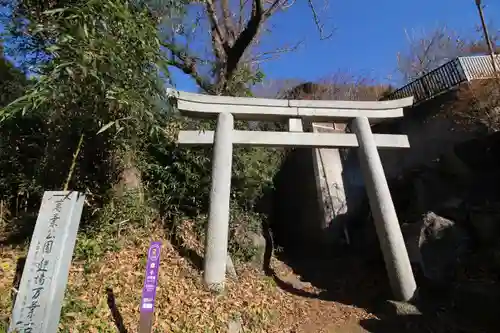 筑波山神社 女体山御本殿の鳥居