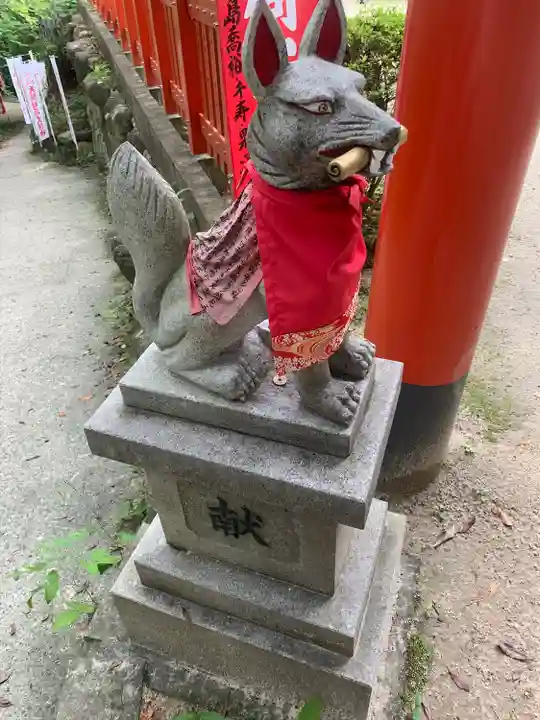 天開稲荷社の狛犬