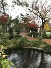 飯香岡八幡宮(千葉県)