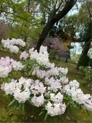 仁和寺(京都府)
