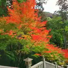 尊永寺の自然