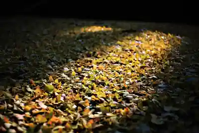 福榮神社のその他建物