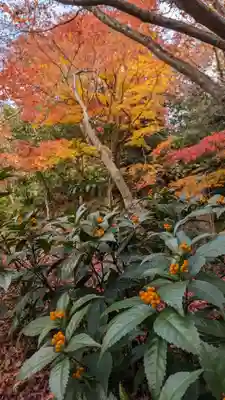 法金剛院(京都府)
