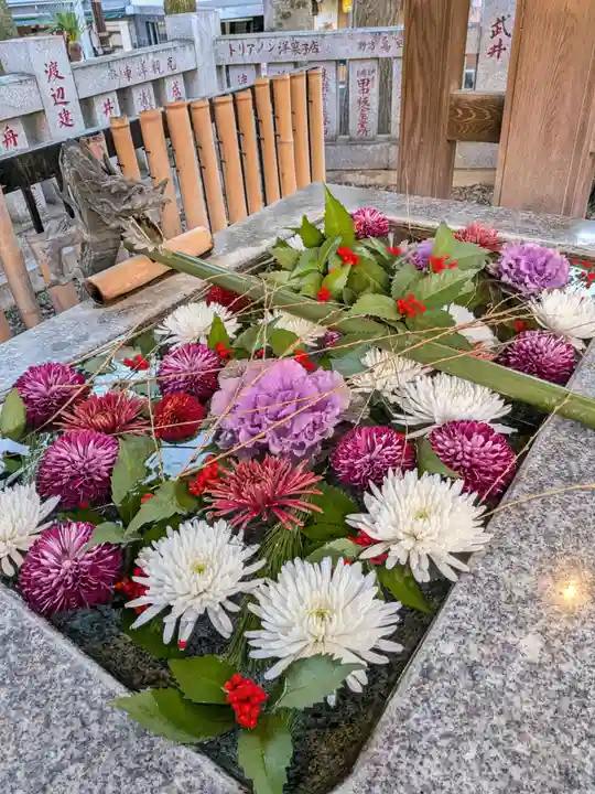 高円寺氷川神社(東京都)
