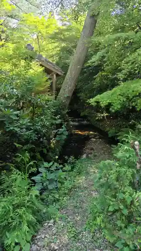 鍬山神社の自然