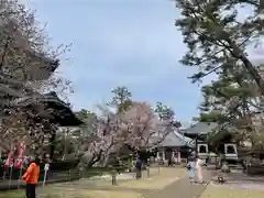 観音寺（世田谷山観音寺）(東京都)