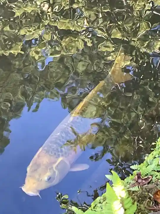 松尾寺(京都府)
