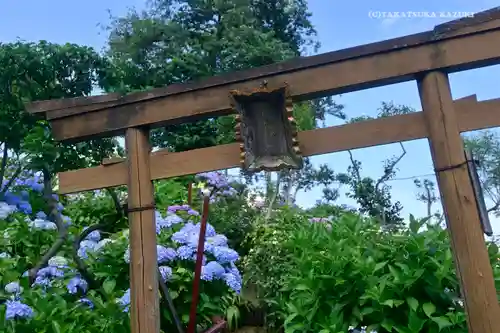 白山神社の鳥居