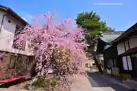 猿田彦神社(東京都)