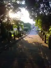 川口神社の建物その他