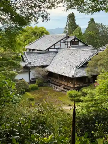 青蓮院門跡の{uncategorized: "未分類", other: "その他", undefined: "問題あり", building: "その他建物", grave: "お墓", sacred_gate: "鳥居", guardian: "狛犬", statue: "像", buddha: "仏像", history: "歴史", nature: "自然", garden: "庭園", animal: "動物", pagoda: "塔", temizu: "手水舎", mountain_gate: "山門・神門", sanctuary: "本殿・本堂", subordinate: "末社・摂社", art: "芸術", scenery: "景色", jizo: "地蔵", ema: "絵馬", goshuin: "御朱印", omikuji: "おみくじ", items: "授与品その他", amulet: "お守り", goshuincho: "御朱印帳", eats: "食事", festival: "お祭り", votive_dance: "神楽", shichigosan: "七五三参", wedding: "結婚式", experience: "体験その他", initially: "初詣", around: "周辺", anti_infection: "感染症対策"}