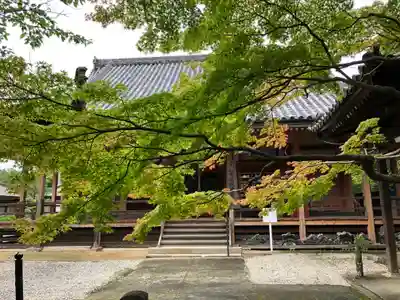 松尾寺の本殿・本堂