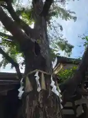 白龍神社(愛知県)