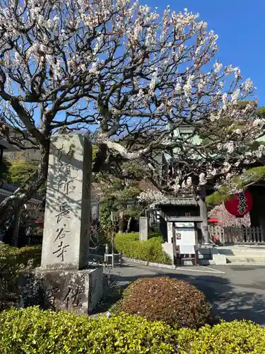 長谷寺(神奈川県)