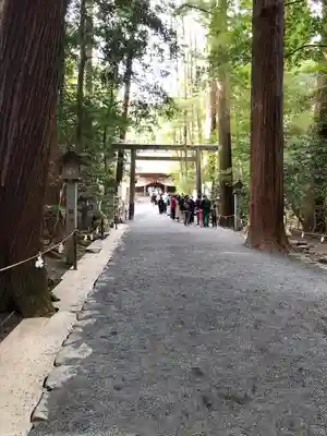 椿大神社の鳥居