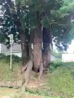 岩木山神社(青森県)