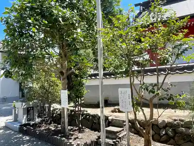 明王院(三重県)