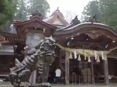 白山比咩神社の狛犬