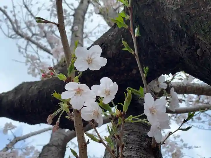 三輪神社の自然