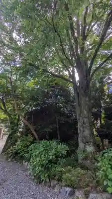 若宮八幡宮(京都府)