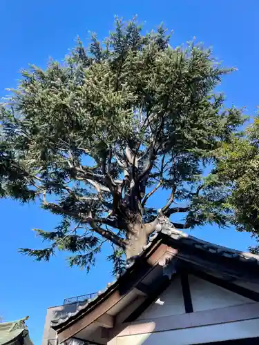 用賀神社(東京都)