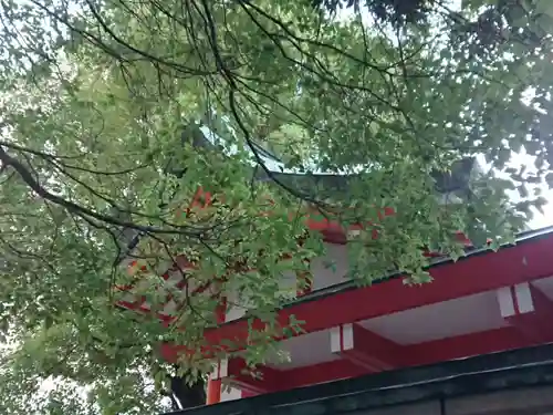 泥江縣神社の本殿・本堂