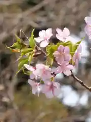 普門寺(切り絵御朱印発祥の寺)(愛知県)