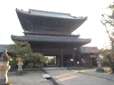 大樹寺（松安院大樹寺）(愛知県)