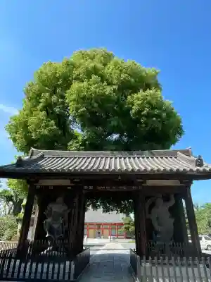 宝仙寺(東京都)