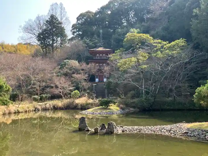 浄瑠璃寺(京都府)