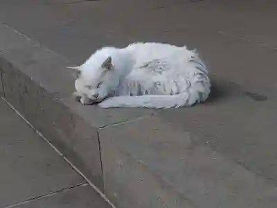 愛宕神社(東京都)