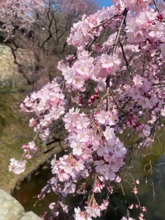 眞田神社の{uncategorized: "未分類", other: "その他", undefined: "問題あり", building: "その他建物", grave: "お墓", sacred_gate: "鳥居", guardian: "狛犬", statue: "像", buddha: "仏像", history: "歴史", nature: "自然", garden: "庭園", animal: "動物", pagoda: "塔", temizu: "手水舎", mountain_gate: "山門・神門", sanctuary: "本殿・本堂", subordinate: "末社・摂社", art: "芸術", scenery: "景色", jizo: "地蔵", ema: "絵馬", goshuin: "御朱印", omikuji: "おみくじ", items: "授与品その他", amulet: "お守り", goshuincho: "御朱印帳", eats: "食事", festival: "お祭り", votive_dance: "神楽", shichigosan: "七五三参", wedding: "結婚式", experience: "体験その他", initially: "初詣", around: "周辺", anti_infection: "感染症対策"}