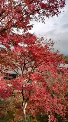 天龍寺の{uncategorized: "未分類", other: "その他", undefined: "問題あり", building: "その他建物", grave: "お墓", sacred_gate: "鳥居", guardian: "狛犬", statue: "像", buddha: "仏像", history: "歴史", nature: "自然", garden: "庭園", animal: "動物", pagoda: "塔", temizu: "手水舎", mountain_gate: "山門・神門", sanctuary: "本殿・本堂", subordinate: "末社・摂社", art: "芸術", scenery: "景色", jizo: "地蔵", ema: "絵馬", goshuin: "御朱印", omikuji: "おみくじ", items: "授与品その他", amulet: "お守り", goshuincho: "御朱印帳", eats: "食事", festival: "お祭り", votive_dance: "神楽", shichigosan: "七五三参", wedding: "結婚式", experience: "体験その他", initially: "初詣", around: "周辺", anti_infection: "感染症対策"}