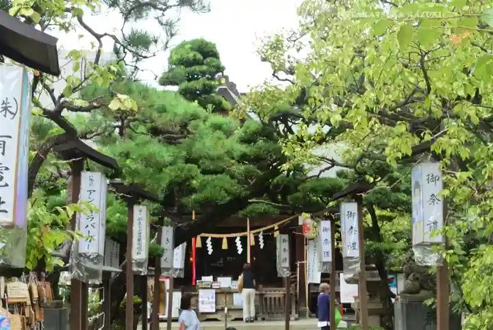 鳩森八幡神社のお祭り