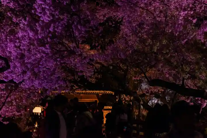 新城藤原神社(長野県)