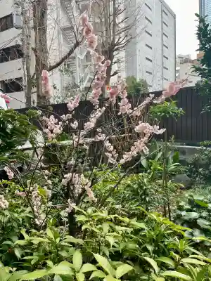 法音寺(東京都)