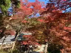 普門寺(切り絵御朱印発祥の寺)(愛知県)