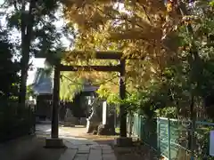 真間稲荷神社(千葉県)