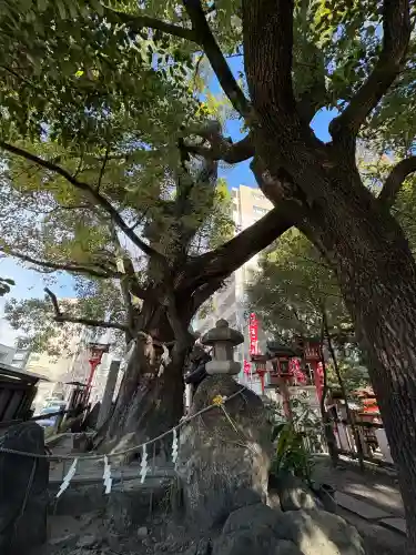 若一神社の{uncategorized: "未分類", other: "その他", undefined: "問題あり", building: "その他建物", grave: "お墓", sacred_gate: "鳥居", guardian: "狛犬", statue: "像", buddha: "仏像", history: "歴史", nature: "自然", garden: "庭園", animal: "動物", pagoda: "塔", temizu: "手水舎", mountain_gate: "山門・神門", sanctuary: "本殿・本堂", subordinate: "末社・摂社", art: "芸術", scenery: "景色", jizo: "地蔵", ema: "絵馬", goshuin: "御朱印", omikuji: "おみくじ", items: "授与品その他", amulet: "お守り", goshuincho: "御朱印帳", eats: "食事", festival: "お祭り", votive_dance: "神楽", shichigosan: "七五三参", wedding: "結婚式", experience: "体験その他", initially: "初詣", around: "周辺", anti_infection: "感染症対策"}