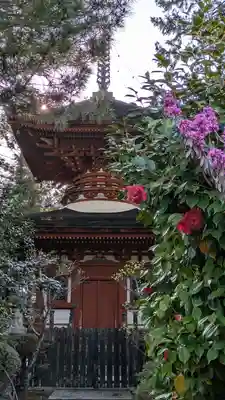 久米寺(奈良県)