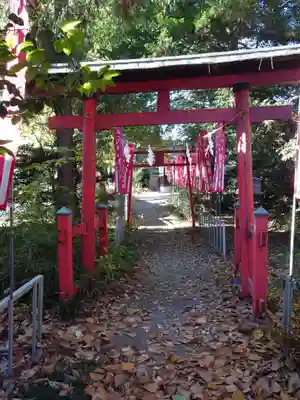 飯玉神社(群馬県)