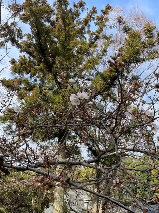 伊勢の国 四天王寺(三重県)