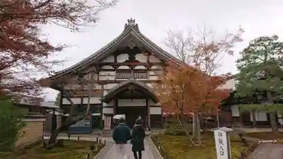 高台寺(高台寿聖禅寺・高臺寺)の本殿・本堂