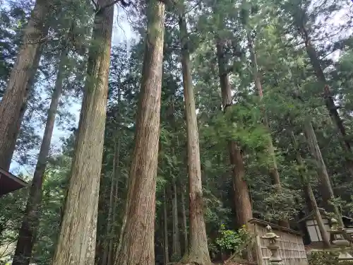 室生龍穴神社(奈良県)