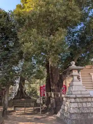 諏訪神社(東京都)