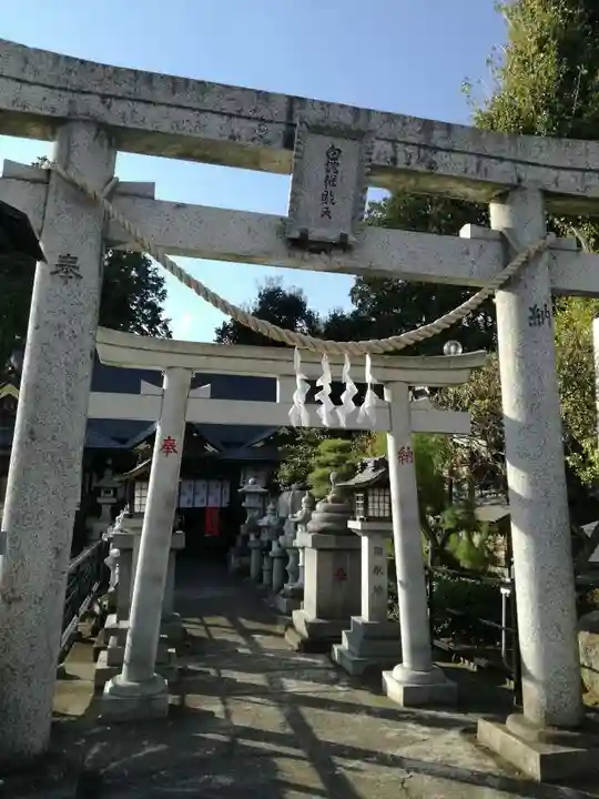 白蛇辨財天の鳥居