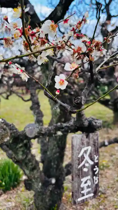 豊國神社の{uncategorized: "未分類", other: "その他", undefined: "問題あり", building: "その他建物", grave: "お墓", sacred_gate: "鳥居", guardian: "狛犬", statue: "像", buddha: "仏像", history: "歴史", nature: "自然", garden: "庭園", animal: "動物", pagoda: "塔", temizu: "手水舎", mountain_gate: "山門・神門", sanctuary: "本殿・本堂", subordinate: "末社・摂社", art: "芸術", scenery: "景色", jizo: "地蔵", ema: "絵馬", goshuin: "御朱印", omikuji: "おみくじ", items: "授与品その他", amulet: "お守り", goshuincho: "御朱印帳", eats: "食事", festival: "お祭り", votive_dance: "神楽", shichigosan: "七五三参", wedding: "結婚式", experience: "体験その他", initially: "初詣", around: "周辺", anti_infection: "感染症対策"}