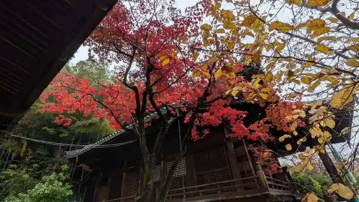 観音寺(山崎聖天)(京都府)