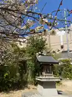 西嶋天満宮(兵庫県)