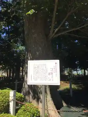 深見神社(神奈川県)